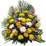 ķʻԤ
